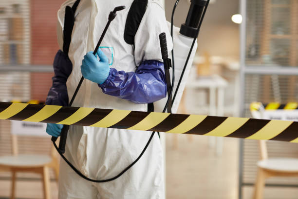 Professional Sewage Cleanup technician working in Danbury, TX
